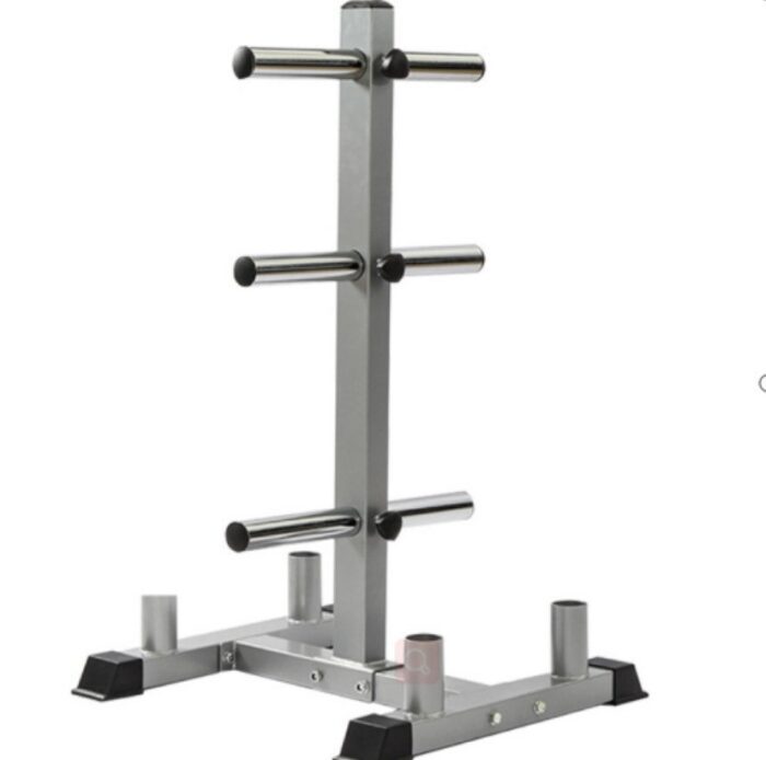 Weight plate storage stand for gym.