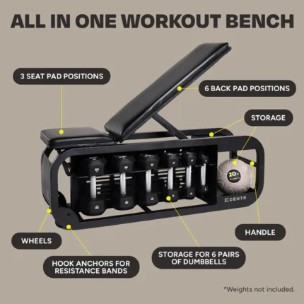 Workout bench with dumbbell storage and features.